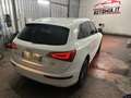 Audi Q5 Q5 2.0 TDI 143 CV Advanced Plus White - thumbnail 5