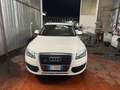 Audi Q5 Q5 2.0 TDI 143 CV Advanced Plus White - thumbnail 2