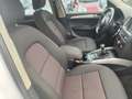 Audi Q5 Q5 2.0 TDI 143 CV Advanced Plus Bianco - thumbnail 7