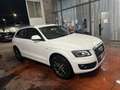 Audi Q5 Q5 2.0 TDI 143 CV Advanced Plus White - thumbnail 4