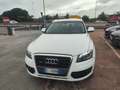 Audi Q5 Q5 2.0 TDI 143 CV Advanced Plus Bianco - thumbnail 6