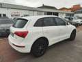 Audi Q5 Q5 2.0 TDI 143 CV Advanced Plus Bianco - thumbnail 4