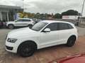 Audi Q5 Q5 2.0 TDI 143 CV Advanced Plus Bianco - thumbnail 1