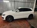 Audi Q5 Q5 2.0 TDI 143 CV Advanced Plus White - thumbnail 8