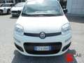 Fiat Panda 1.2 Easy 69cv 5pt - OK NEOPAT. Bianco - thumbnail 3