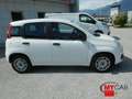 Fiat Panda 1.2 Easy 69cv 5pt - OK NEOPAT. Bianco - thumbnail 5
