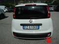 Fiat Panda 1.2 Easy 69cv 5pt - OK NEOPAT. Bianco - thumbnail 7