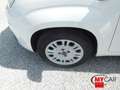 Fiat Panda 1.2 Easy 69cv 5pt - OK NEOPAT. Bianco - thumbnail 13