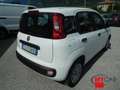 Fiat Panda 1.2 Easy 69cv 5pt - OK NEOPAT. Bianco - thumbnail 6