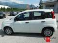 Fiat Panda 1.2 Easy 69cv 5pt - OK NEOPAT. Bianco - thumbnail 8