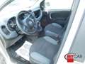 Fiat Panda 1.2 Easy 69cv 5pt - OK NEOPAT. Bianco - thumbnail 9