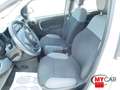 Fiat Panda 1.2 Easy 69cv 5pt - OK NEOPAT. Bianco - thumbnail 10