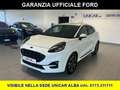 Ford Puma 1.000 BENZINA HYBRID 125 CV ST-LINE Blanc - thumbnail 1