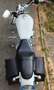 Harley-Davidson Sportster XL 883 Bianco - thumbnail 5