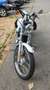 Harley-Davidson Sportster XL 883 Bianco - thumbnail 7