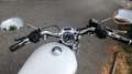Harley-Davidson Sportster XL 883 Bianco - thumbnail 4
