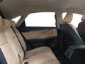 Lexus NX 300 300h Executive Navigation 4WD - thumbnail 7