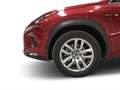 Lexus NX 300 300h Executive Navigation 4WD - thumbnail 10
