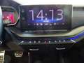 Skoda Octavia Octavia Combi Diesel IV Combi 2.0 TDI DSG RS Nero - thumbnail 14