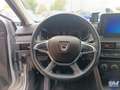 Dacia Sandero Sandero Stepway 1.0 TCe 90 CV Comfort SL DaciaPlus Plateado - thumbnail 12