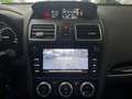 Subaru Forester 2.0 Aut. Exclusive Kamera Bi-Xenon Pano Plateado - thumbnail 22