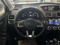 Subaru Forester 2.0 Aut. Exclusive Kamera Bi-Xenon Pano Argent - thumbnail 15