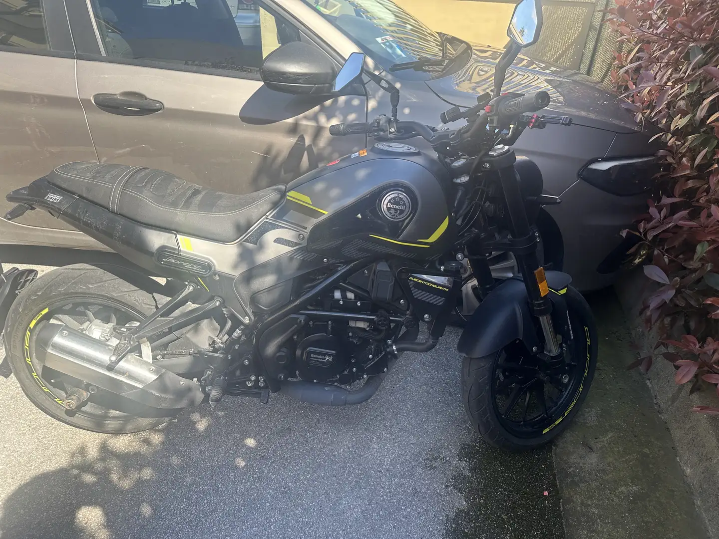 Benelli Leoncino normale Argento - 2