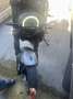 Benelli Leoncino normale Argento - thumbnail 3