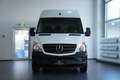 Mercedes-Benz Sprinter II Kasten 311 CDI *AUTOMATIK* Weiß - thumbnail 2
