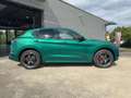 Alfa Romeo Stelvio 2.0 Turbo 16V Tributo Italiano Grün - thumbnail 8