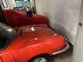 Fiat 850 Sport Spidet - thumbnail 6