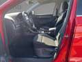 Skoda Karoq Drive 125 Pano*AHK*ACC*DSG*Navi*SpurH+SpurW Červená - thumbnail 4