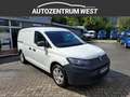 Volkswagen Caddy Caddy Maxi Cargo 2,0 TDI ..netto 23.323,-- Weiß - thumbnail 4