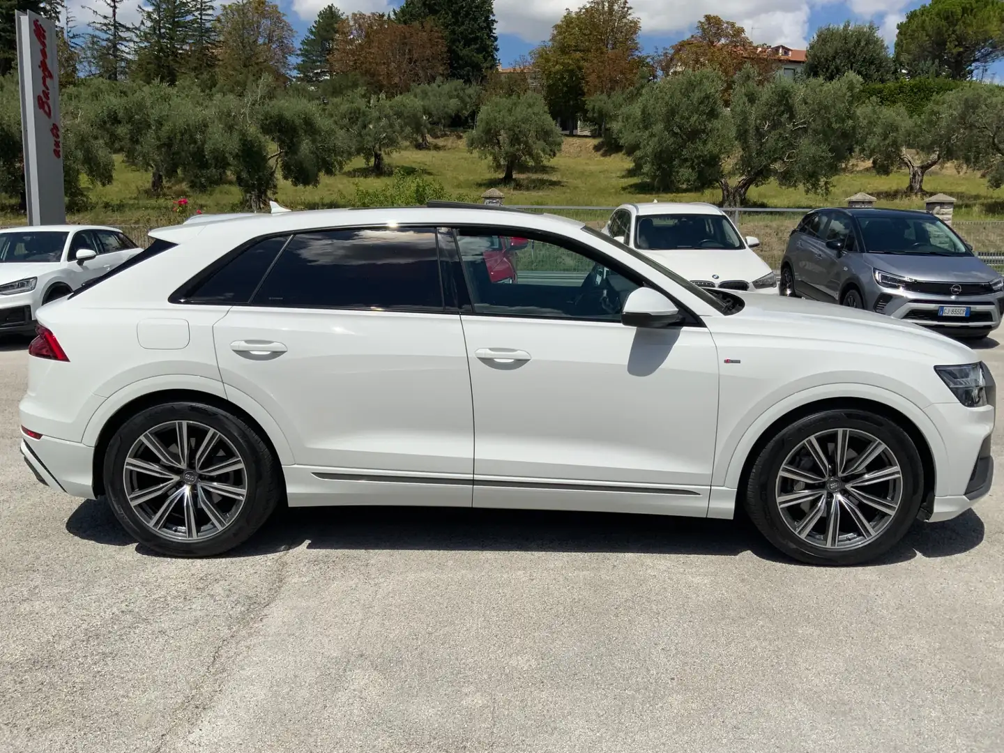 Audi Q8 Q8 50 TDI 286 CV quattro tiptronic Sport TETTO.MAT Blanc - 2
