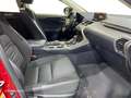 Lexus NX 200t BUSINESS NAVIGATION Rot - thumbnail 6