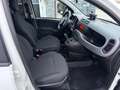 Fiat Panda Panda 1.2 EasyPower City Cross Blanc - thumbnail 8
