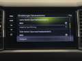 Skoda Kodiaq 2.0 TSI 4x4 Style AHK LED ACC Pano Leder Gris - thumbnail 25