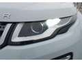 Land Rover Range Rover Evoque 2.0L eD4 Diesel 150CV 4x2 SE - thumbnail 13