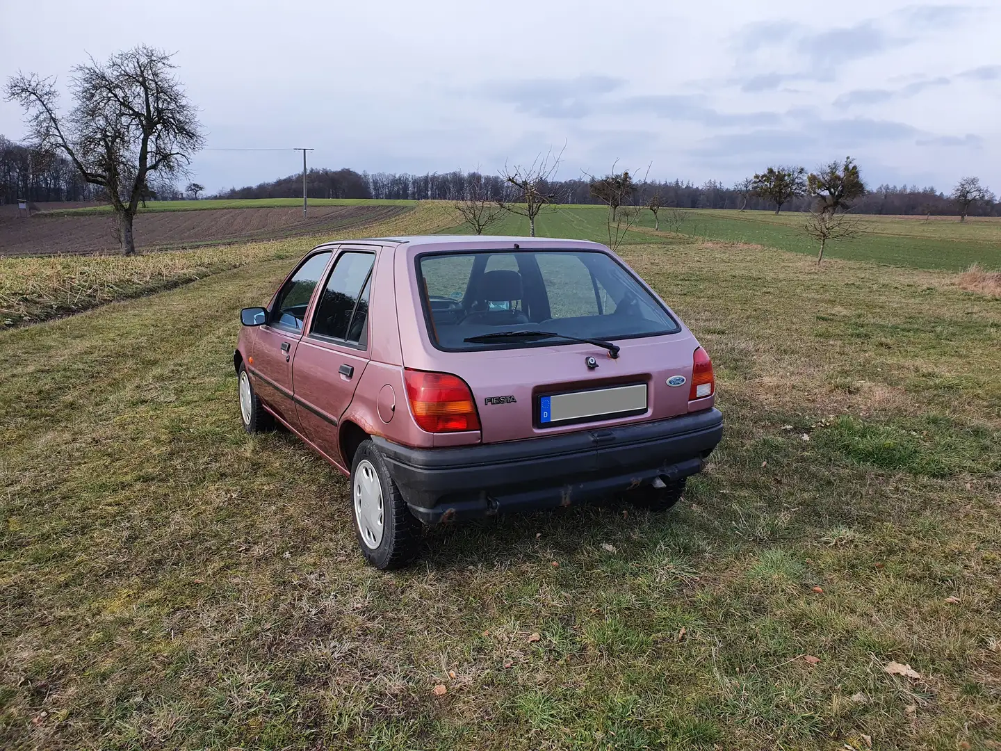 Ford Fiesta Fiesta Family - 2