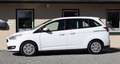 Ford Grand C-Max 1,5TDCI Trend Sitzheizung/Standheizu Bianco - thumbnail 2