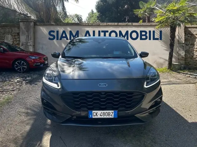 Ford Kuga Kuga 1.5 EcoBlue 120 CV aut. 2WD ST-Line