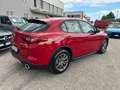 Alfa Romeo Stelvio Stelvio 2017 2.2 t Business rwd 190cv auto my19 Rood - thumbnail 14