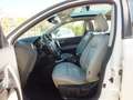 Nissan Qashqai QASHQAI 1.6 CC -GPL -PELLE-NAVI-TETTO PANORAMICO Blanc - thumbnail 10