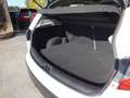 Nissan Qashqai QASHQAI 1.6 CC -GPL -PELLE-NAVI-TETTO PANORAMICO Blanc - thumbnail 13
