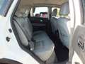 Nissan Qashqai QASHQAI 1.6 CC -GPL -PELLE-NAVI-TETTO PANORAMICO Weiß - thumbnail 20