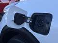 Kia Niro 1.6 GDi PHEV ExecutiveLine Stoelverwarming/Ventila Wit - thumbnail 11
