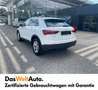 Audi Q3 35 TDI intense Білий - thumbnail 4