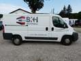 Fiat Ducato 130 [KLIMAAUTOMATIK/PDC/AHK] Weiß - thumbnail 3