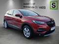 Opel Grandland GRANDLAND Innovation 1,2 Turbo Rot - thumbnail 4