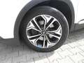 Hyundai SANTA FE Premium 4WD Panorama SHZ LHZ Bianco - thumbnail 8